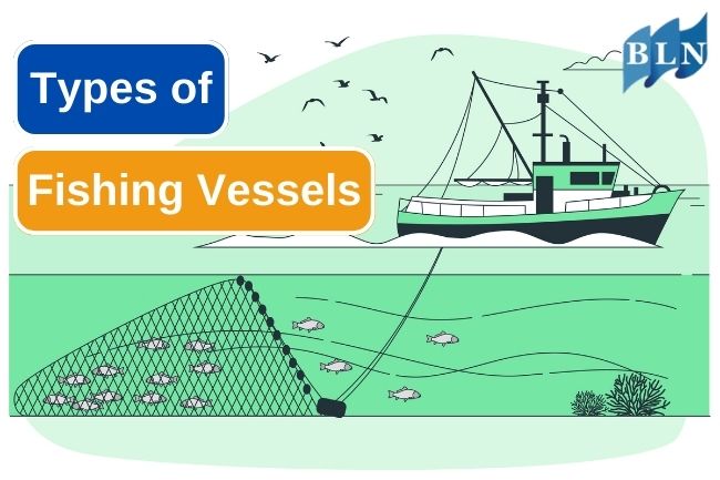 8 Types Of Fishing Vessel To Harvest Fish